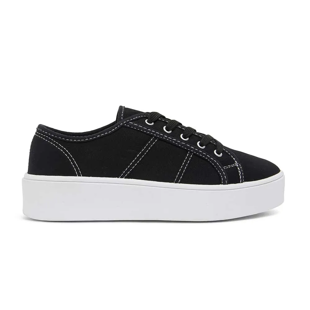 Adam Sneaker in Black Canvas