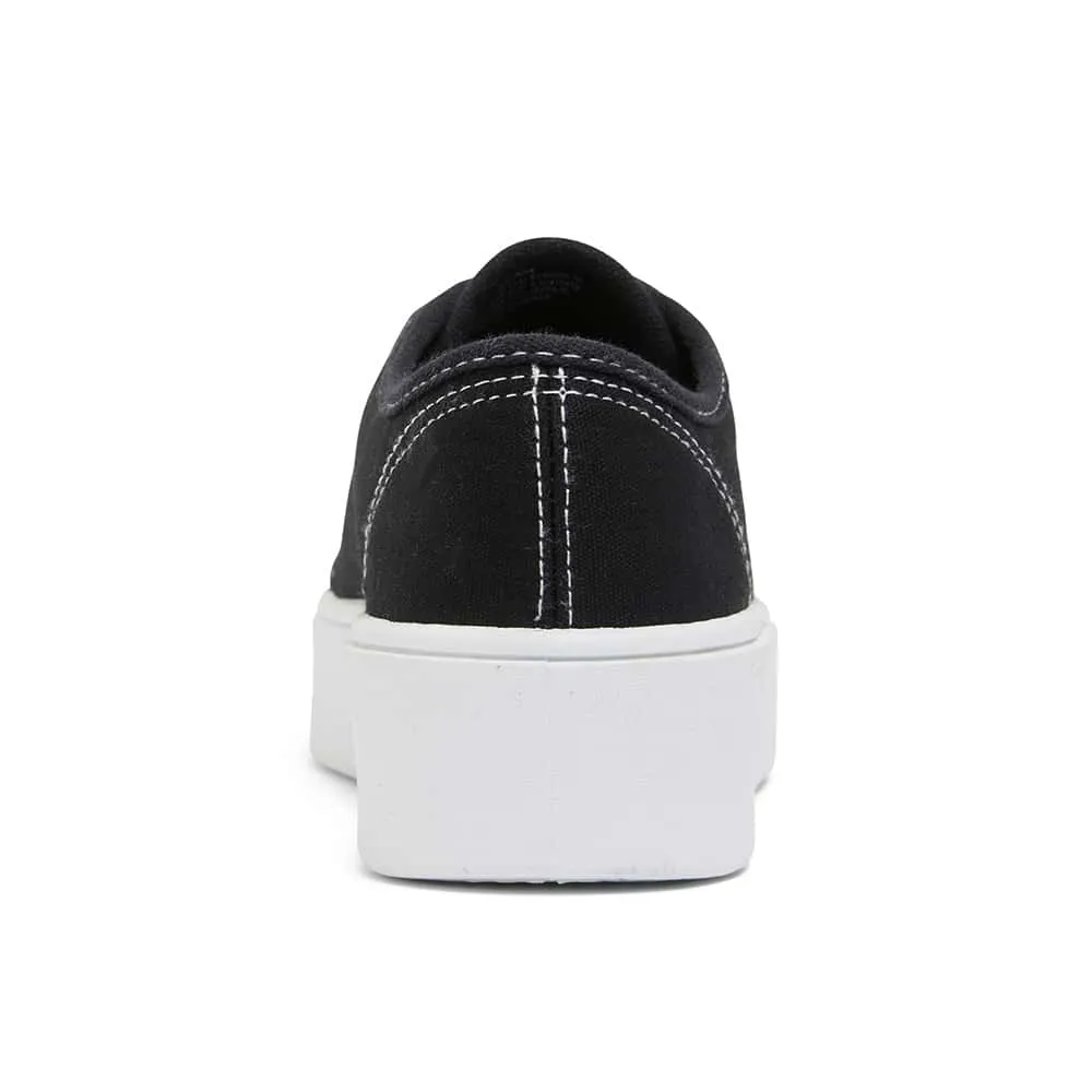 Adam Sneaker in Black Canvas