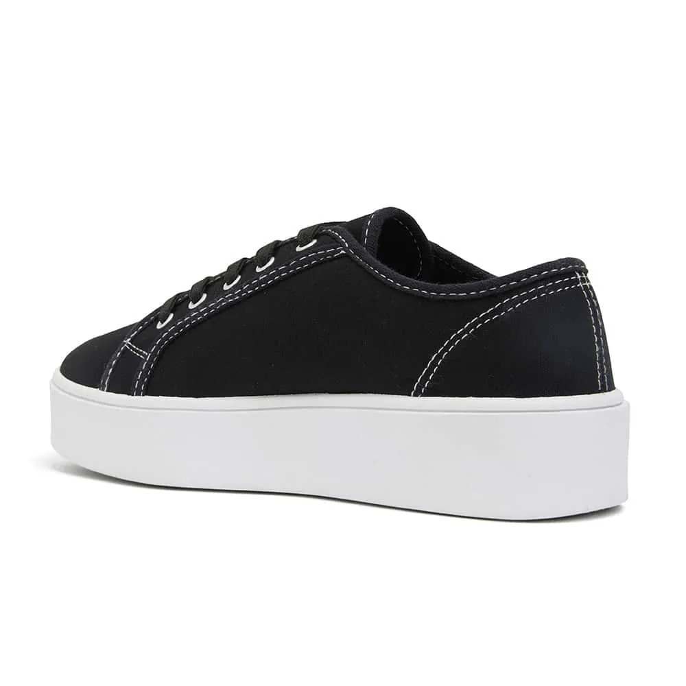 Adam Sneaker in Black Canvas