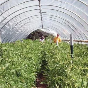 FarmTek GrowSpan Round High Tunnel Greenhouse System | Durable Season Extension | Heavy-Duty Frame